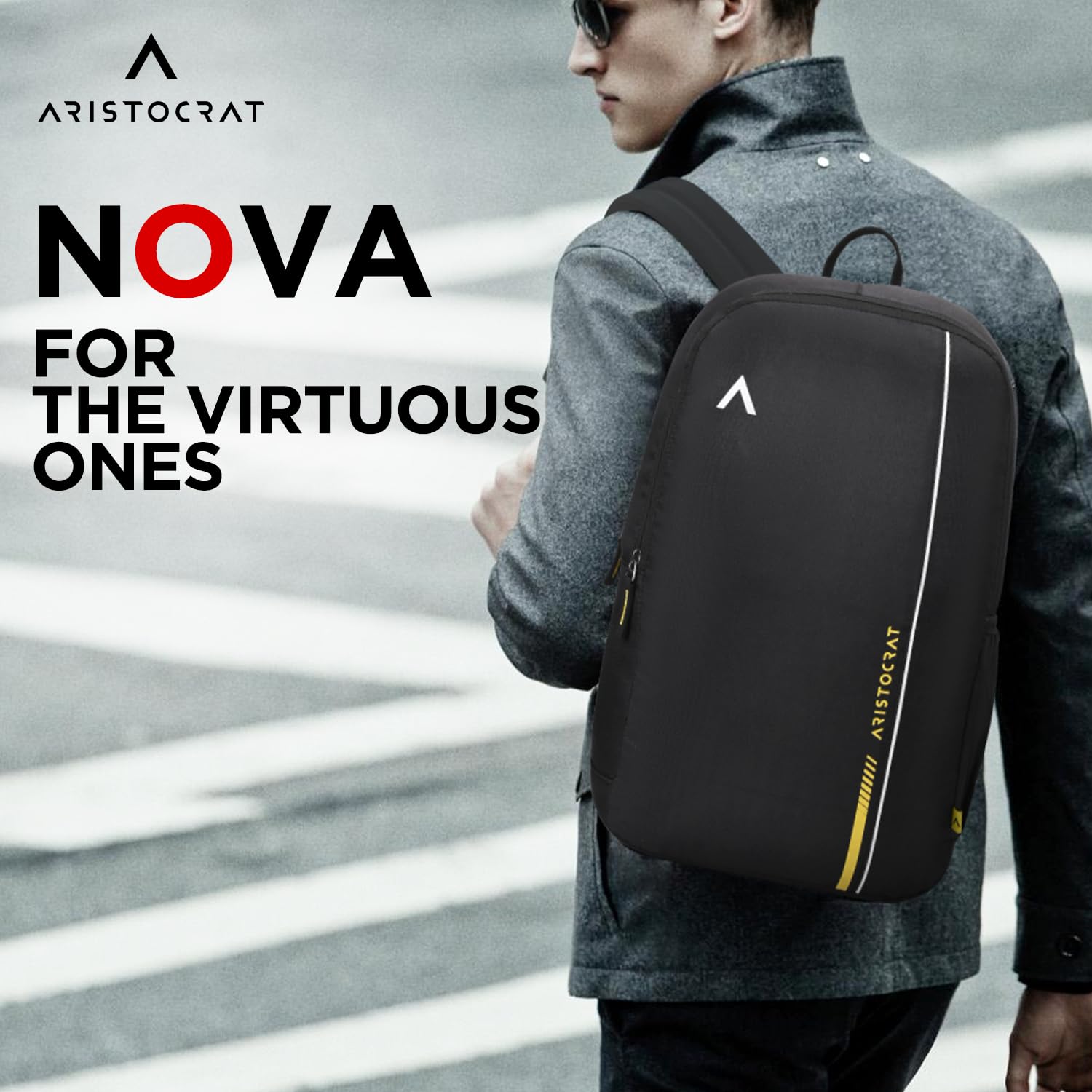 Aristocrat Nova 15L Laptop Backpack for Men & Women with Bottle Pocket | Padded Shoulder Straps, Multi Compartments