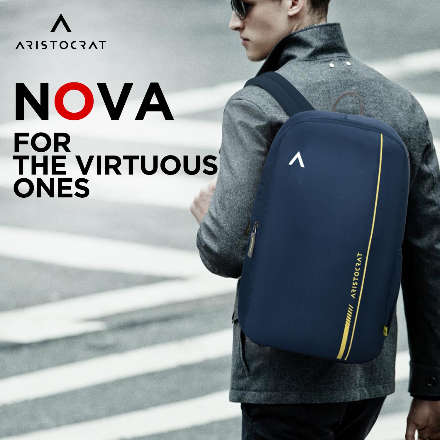 Aristocrat Nova 15L Laptop Backpack for Men & Women with Bottle Pocket | Padded Shoulder Straps, Multi Compartments